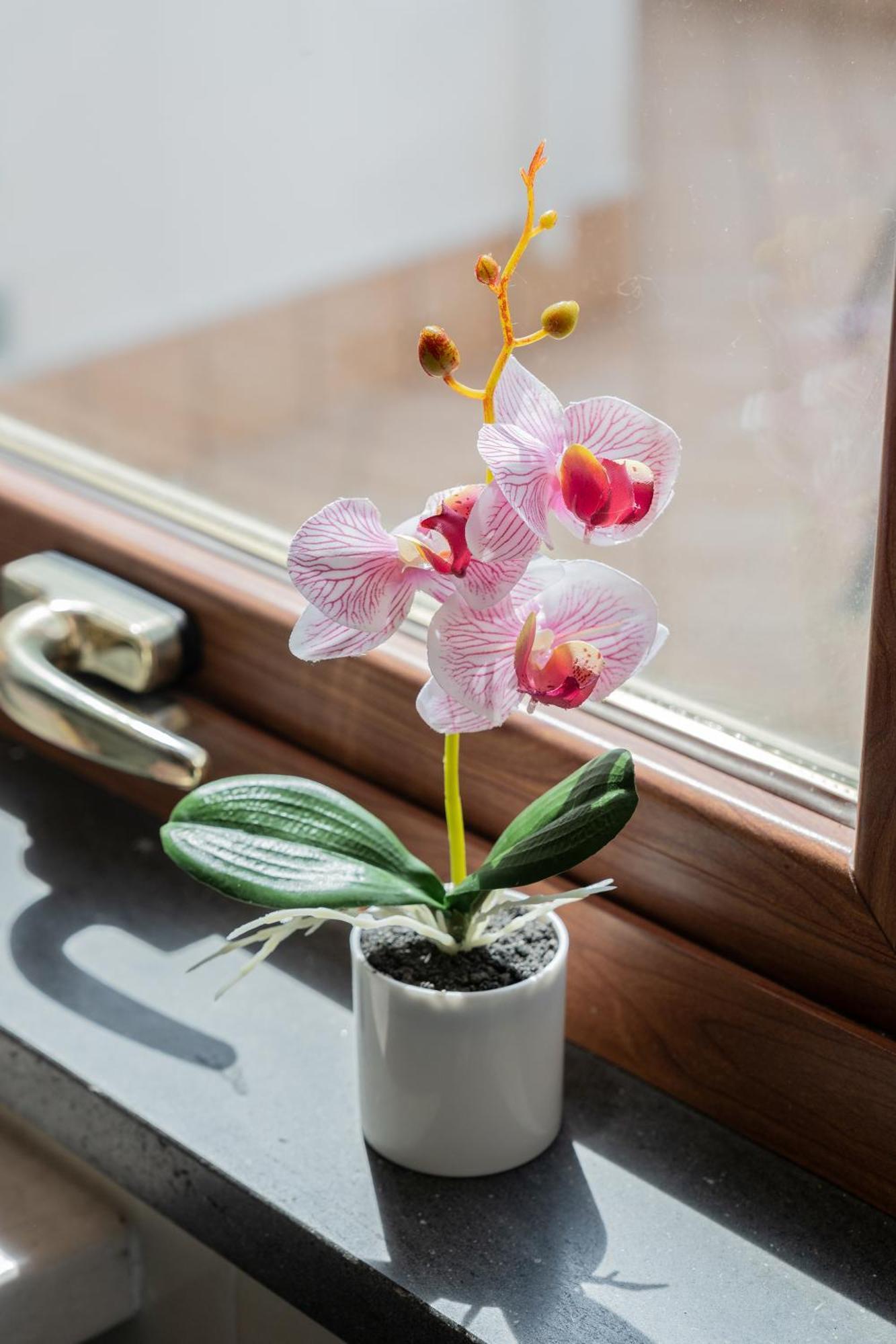 Ziro House Amalfi 아파트 외부 사진